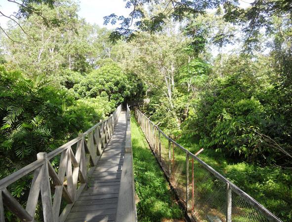 Hutan Wanawisata, 1. Hutan Bakau Margomulyo, 2. Pantai Lamaru, 3. Penangkaran Buaya Teritip, 4. Pantai Kemala, 5. Taman Bekapai, 6. Monumen Perjuangan Rakyat (MONPERA) Balikpapan, 7. Pantai Banua Patra, 8. Kampung Atas Air Margasari, 9. Gunung Dubs, 10. Hutan Wanawisata, 11. Caribbean Island Waterpark, 12. Pantai Manggar Segarasari, 13. Bukit Bangkirai, 14. Pantai Melawai, 15. Danau Cermin Lamaru