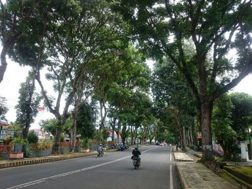 Kota Curup, 1. Pantai Lais, 2. Rumah Pengasingan Bung Karno, 3. Pantai Panjang, 4. Benteng Marlborough, 5. Kota Curup, 6. Museum Negeri Bengkulu, 7. Pantai Jakat, 8. Pulau Tikus, 9. Danau Dendam Tak Sudah, 10. Pantai Tapak Paderi