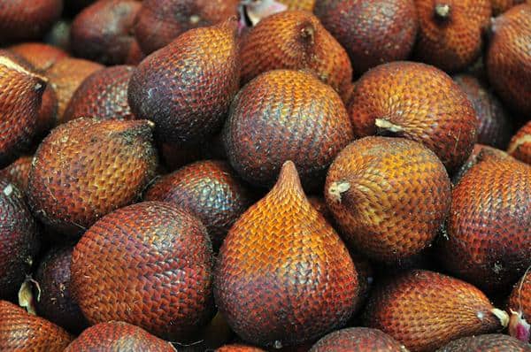 Salak Pondoh, 1. Batik Yogyakarta, 2. Bakpia, 3. Yangko, 4. Gerabah Kasongan, 5. Gudeg, 6. Kerajinan Perak, 7. Kaos Dagadu, 8. Geplak, 9. Coklat Monggo, 10. Salak Pondoh