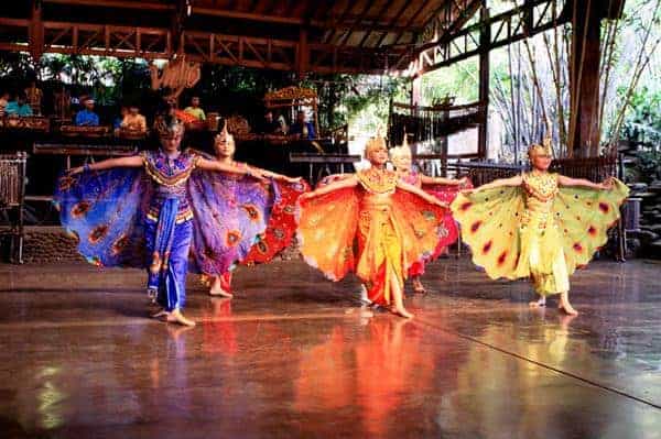 Tari merak