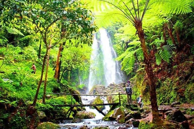 Air Terjun Grojogan Sewu, 1. Air Terjun Grojogan Sewu, 2. Taman Ria Balekambang, 3. Tahura Ngargoyoso, 4. Telaga Madirda, 5. Bumi Perkemahan Camping Lawu Resort dan Hutan Pinus Sekipan, 6. Perkebunan Teh Kemuning, 7. Agrowisata Sondokoro, 8. Puncak Gunung Lawu, 9. Astana Giribangun, 10. Wisata Tubing Goasari Ngargoyoso