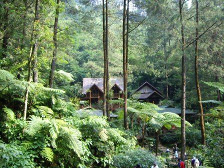 Alas Kethu, 1. Pantai Nampu, 2. Waduk Gajah Mungkur, 3. Bukit Cumbri, 4. Air Terjun Binangun Watu Jadah, 5. Museum Wayang Indonesia, 6. Telaga Claket, 7. Pantai Banyutowo, 8. Air Terjun Setren Girimanik, 9. Goa Putri Kencono, 10. Pantai Sembukan, 11. Alas Kethu, 12. Wisata Spiritual Khayangan, 13. Goa Ngantap, 14. Air Terjun Seloresi, 15. Pantai Pringjono