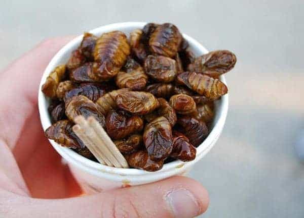 Beondagi, 1. Gejang, 2. Gaebul, 3. Haejangguk, 4. Beondagi, 5. Sundae, 6. Bosintang