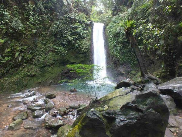 Curug Ngumpet, 1. Danau Situ Gede, 2. Kebun Raya Bogor, 3. Telaga Warna, 4. Gunung Pancar, 5. Taman Riung Gunung, 6. Agrowisata Gunung Mas, 7. Pemandian Air Panas Tirta Sanita Ciseeng, 8. Sentul Paradise Park, 9. Kebun Raya Cibodas, 10. Curug Ngumpet, 11. Goa Agung Garunggang, 12. Curug Leuwi Lieuk, 13. Gunung Munara, 14. Curug Cibaliung, 15. Gunung Batu Jonggol