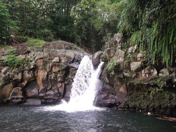 Curug Nini, 1. Desa Wisata Karangbanjar, 2. Owabong, 3. Puncak Sendaren, 4. Goa Lawa, 5. Curug Silintang dan Silawang, 6. Sungai Watu Wujur, 7. Igir Wringin, 8. Situ Tirta Marta, 9. Agrowisata Lembah Asri Purbalingga, 10. Curug Nini