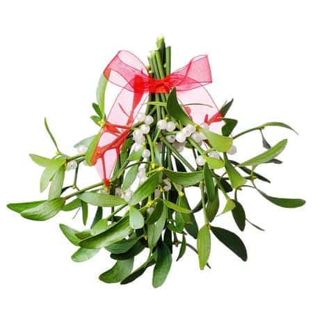 Daun Mistletoe, 1. 108 Dentang, 2. Daun Mistletoe, 3. 12 Anggur, 4. Menuangkan Timah, 5. Celana Dalam Warna-warni