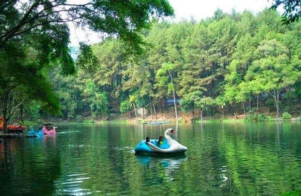 Desa Wisata Cikalahang, 1. Taman Ade Irma Suryani Nasution, 2. Pantai Kejawanan, 3. Situ Sedong, 4. Keraton Kasepuhan, 5. Wanawisata Ciwaringin, 6. Desa Wisata Cikalahang, 7. Keraton Kanoman, 8. Taman Sari Gua Sunyaragi, 9. Wisata Banyu Panas Palimanan, 10. Kampung Batik Trusmi, 11. Danau Setu Patok, 12. Makam Sunan Gunung Jati, 13. Waterboom Siwalk, 14. Bukit Gronggong, 15. Hutan Plangon