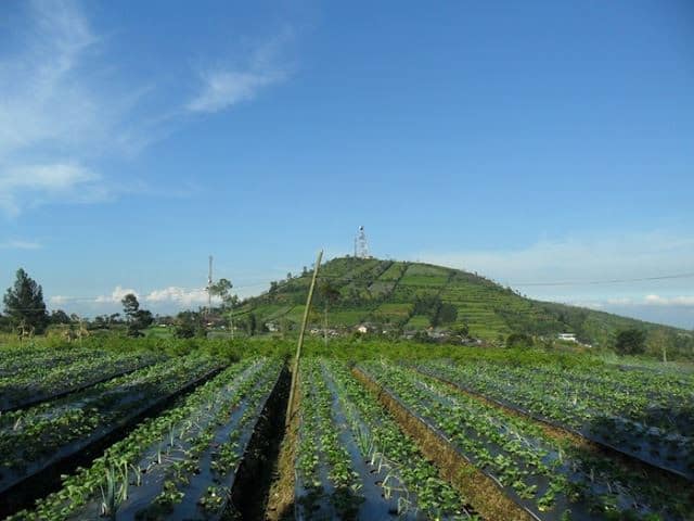 Desa Wisata Karangbanjar, 1. Desa Wisata Karangbanjar, 2. Owabong, 3. Puncak Sendaren, 4. Goa Lawa, 5. Curug Silintang dan Silawang, 6. Sungai Watu Wujur, 7. Igir Wringin, 8. Situ Tirta Marta, 9. Agrowisata Lembah Asri Purbalingga, 10. Curug Nini