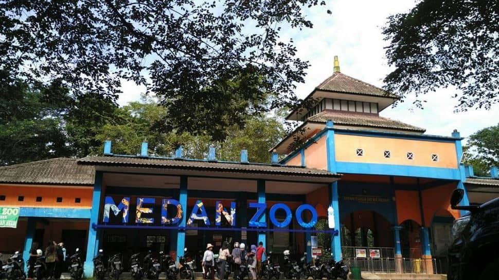 Kebun Binatang Medan, 1. Museum Sumatera Utara, 2. Taman Bermain Hillpark Sibolangit, 3. Taman Buaya Asam Kumbang, 4. Mora Indah, 5. Kebun Binatang Medan, 6. Kampung Keling, 7. Istana Maimun, 8. Tangkahan, 9. Masjid Raya Medan, 10. Graha Santa Maria Velangkanni