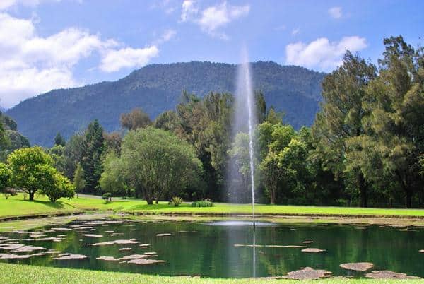 Kebun Raya Cibodas, 1. Danau Situ Gede, 2. Kebun Raya Bogor, 3. Telaga Warna, 4. Gunung Pancar, 5. Taman Riung Gunung, 6. Agrowisata Gunung Mas, 7. Pemandian Air Panas Tirta Sanita Ciseeng, 8. Sentul Paradise Park, 9. Kebun Raya Cibodas, 10. Curug Ngumpet, 11. Goa Agung Garunggang, 12. Curug Leuwi Lieuk, 13. Gunung Munara, 14. Curug Cibaliung, 15. Gunung Batu Jonggol