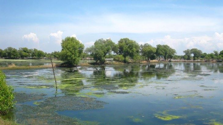 Pantai Kepetingan, 1. Pantai Kepetingan, 2. Lumpur Lapindo, 3. Tanggulangin, 4. Wisata Bahari Tlocor dan Pulau Sarinah, 5. Kolam Pemancingan Sedati, 6. Alun-Alun Sidoarjo, 7. Kampung Batik Jetis, 8. Delta Fishing, 9. Museum Mpu Tantular, 10. Candi Pari