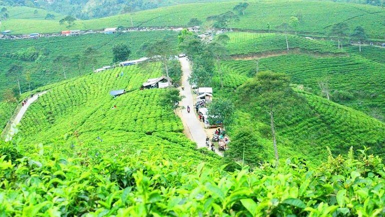 Perkebunan Teh Kemuning, 1. Air Terjun Grojogan Sewu, 2. Taman Ria Balekambang, 3. Tahura Ngargoyoso, 4. Telaga Madirda, 5. Bumi Perkemahan Camping Lawu Resort dan Hutan Pinus Sekipan, 6. Perkebunan Teh Kemuning, 7. Agrowisata Sondokoro, 8. Puncak Gunung Lawu, 9. Astana Giribangun, 10. Wisata Tubing Goasari Ngargoyoso