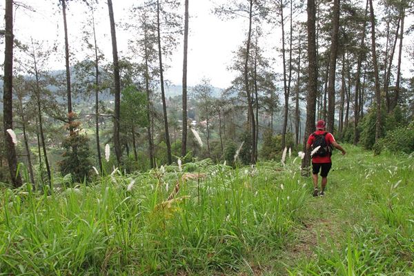 Tahura Ngargoyoso, 1. Air Terjun Grojogan Sewu, 2. Taman Ria Balekambang, 3. Tahura Ngargoyoso, 4. Telaga Madirda, 5. Bumi Perkemahan Camping Lawu Resort dan Hutan Pinus Sekipan, 6. Perkebunan Teh Kemuning, 7. Agrowisata Sondokoro, 8. Puncak Gunung Lawu, 9. Astana Giribangun, 10. Wisata Tubing Goasari Ngargoyoso
