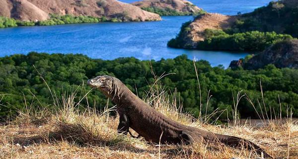 Taman Nasional Komodo, 1. Labuan Bajo, 2. Pulau Kanawa, 3. Taman Nasional Komodo, 4. Danau Kelimutu, 5. Pantai Pink, 6. Pulau Padar, 7. Pantai Koka, 8. Gua Liang Bua, 9. Air Terjun Cunca Rami, 10. Danau Sano Nggoang