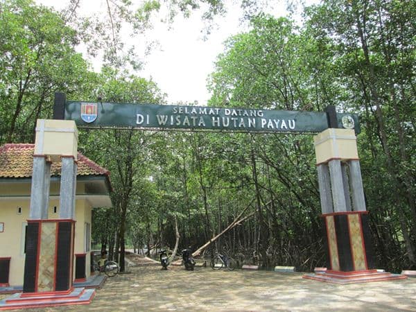 Wisata Hutan Payau, 1. Pantai Karang Pandan, 2. Pantai Teluk Penyu, 3. Pulau Nusakambangan, 4. Benteng Pendem, 5. Pantai Permisan, 6. Pantai Jetis, 7. Benteng Karang Bolong, 8. Wisata Hutan Payau, 9. Pantai Widarapayung, 10. Gunung Srandil, 11. Kemit Forest, 12. Curug Cimandaway, 13. Gunung Selok, 14. Pantai Sodong, 15. Curug Mandala