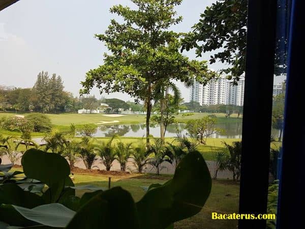 Redback - Golf View