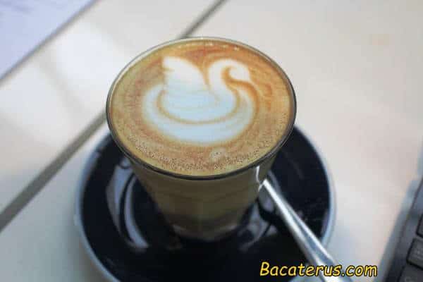 hazelnut latte
