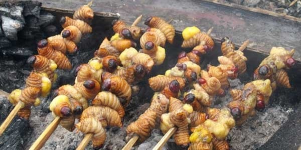 Sate Ulat Sagu, 1. Papeda, 2. Ikan Bungkus, 3. Udang Selingkuh, 4. Sate Ulat Sagu, 5. Kue Lontar, 6. Ikan Bakar Manokwari, 7. Aunu Senebre, 8. Martabak Sagu, 9. Kue Bagea, 10. Sagu lempeng