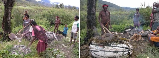 Tradisi Tanam Sasi, 1. Tradisi Bakar Batu, 2. Tradisi Potong Jari, 3. Tradisi Ararem (Suku Biak), 4. Tradisi Tato, 5. Tradisi Tanam Sasi, 6. Tradisi Pembuatan Tifa Menggunakan Darah, 7. Tradisi Festival Lembah Baliem, 8. Tradisi Mansorandak
