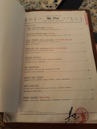 Mr Fox 7