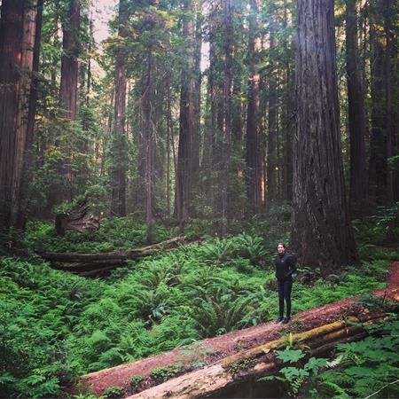 Hutan Humboldt Redwoods - California, Amerika Serikat, 1. Hutan Bambu Sagano – Jepang, 2. Hutan Monteverde - Kosta Rika, 3. Hutan Humboldt Redwoods - California, Amerika Serikat, 4. Hutan Otzarreta – Spanyol, 5. Black Forest – Jerman, 6. Hutan Hallerbos - Belgia, 7. Hutan Amazon – Amerika Selatan, 8. Olympic National Forest - Washington, Amerika Serikat, 9. Mossy Forest – Malaysia, 10. Tanjung Puting – Indonesia