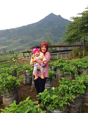 Taman AW Strawberry, 1. Rumah Stroberi, 2. Natural Resto and Strawberry Land, 3. Kampung Strawberry Bungalow &amp; Restaurant, 4. Kebun Strawberry Emte Highland Resort, 5. AW Strawberry, 6. La Fresa Strawberry, 7. Bukit Strawberry Lembang, 8. Kebun Strawberry Cibodas, 9. Petik Sendiri Blackberry dan Strawberry (Alam Endah)