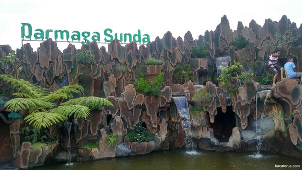 Darmaga Sunda