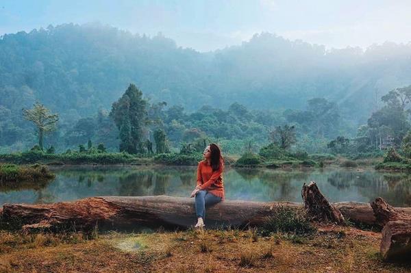1. Tanakita, 2. Batu Tapak Camping ground, 3. Caldera Resort, 4. Bravo Camp, 5. Situ Gunung, 6. Ground Camp Pondok Halimun, 7. Bukit Baros, 8. Calliandra Camping Ground, 9. Imah Tree Citatih, 10. Geopark Ciletuh