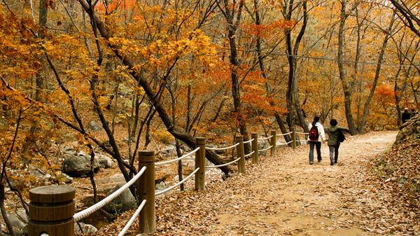 Autumn in Korea