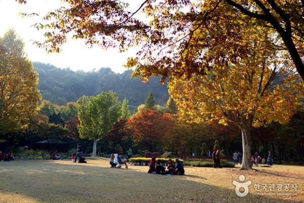 Daegu Arboretum, 1. Taman Apsan Daegu, 2. Kuil Donghwasa, 3. Pasar Seomun, 4. Daegu Arboretum, 5. E-World, 6. Taman Daegu Duryu, 7. Daegu Yangnyeongsi Museum of Oriental Medicine, 8. Museum Seni Daegu, 9. Museum Nasional Daegu, 10. The ARC Cultural Center