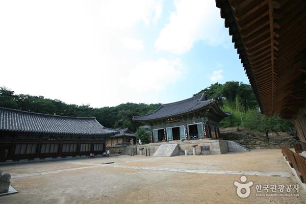 Donghwasa, 1. Taman Apsan Daegu, 2. Kuil Donghwasa, 3. Pasar Seomun, 4. Daegu Arboretum, 5. E-World, 6. Taman Daegu Duryu, 7. Daegu Yangnyeongsi Museum of Oriental Medicine, 8. Museum Seni Daegu, 9. Museum Nasional Daegu, 10. The ARC Cultural Center