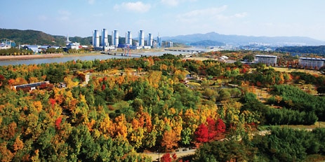 Hanbat Arboretum, 1. Daejeon O-World, 2. Ppuri Park, 3. Expo Science Park, 4. Hanbat Arboretum, 5. Gyejoksan Hwangtogil Trail, 6. Daecheong Lake, 7. Jangtaesan Park, 8. Dongchundang House, 9. Daejeon Art &amp; Culture Complex, 10. Uineungjeongi Cultural Street