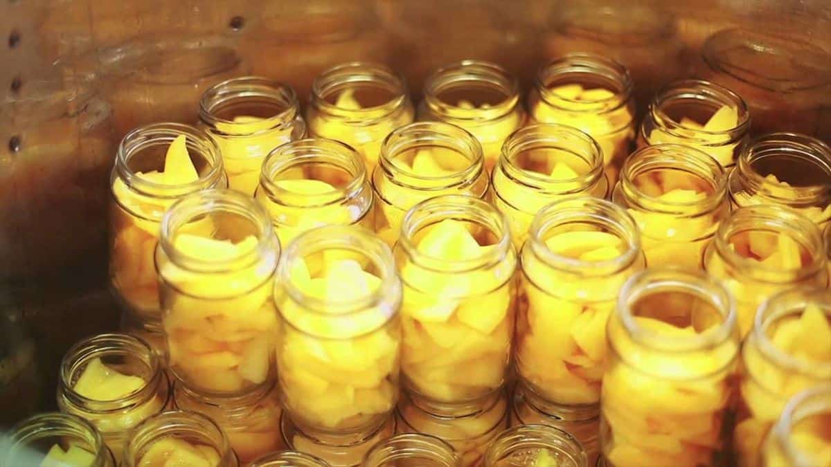 Youtube, 1. Sagon, 2. Manisan Carica, 3. Opak Singkong Dieng Wonosobo, 4. Purwaceng, 5. Dendeng Gepuk, 6. Terong Belanda, 7. Kacang Dieng, 8. Mi Ongklok