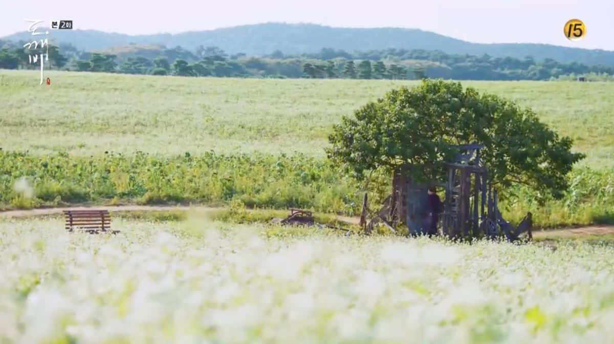 Borinara Hagwon Farm, 1. Jalan Pohon Ginkgo di Kota Asan, 2. Ladang Borinara Hagwon, di Gochang, 3. Pulau Nami, 4. Jirisan di Kota Sancheong, 5. Pink Muhly Field di Gyeongju, 7. Gwanghalluwon di Namwon, 7. Universitas Ewha