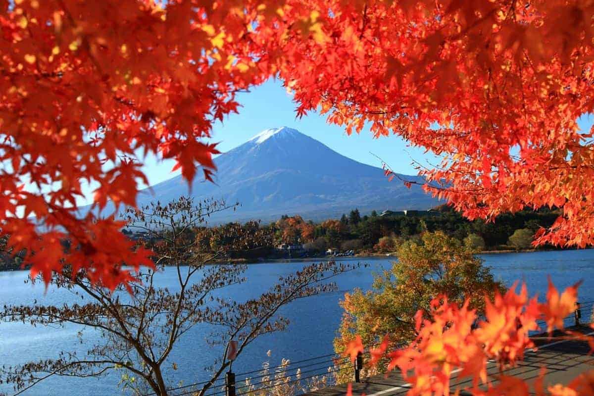 Danau Kawaguchi, 1. Arashiyama, Kyoto, 2. Taman Rikugien, Tokyo, 3. Taman Nasional Daisetsuzan, Hokkaido, 4. Danau Kawaguchi, Prefektur Yamanashi, 5. Kereta Hakone Tozan, 6. Kasuga Taisha