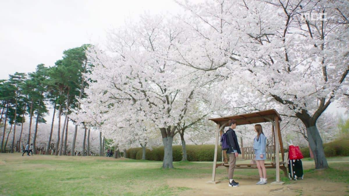 Ilsan Lake Park, 1. Ilsan Lake Park, 2. Yeouido Park, 3. Pulau Cheongsando, 4. Seopjikoji, 5. Istana Gyeongbok, 6. Festival Bunga Sakura Jinhae