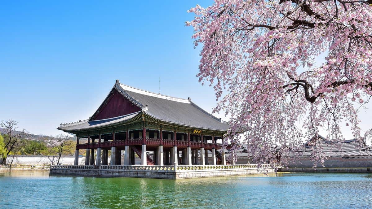 Istana Gyeongbok, 1. Ilsan Lake Park, 2. Yeouido Park, 3. Pulau Cheongsando, 4. Seopjikoji, 5. Istana Gyeongbok, 6. Festival Bunga Sakura Jinhae