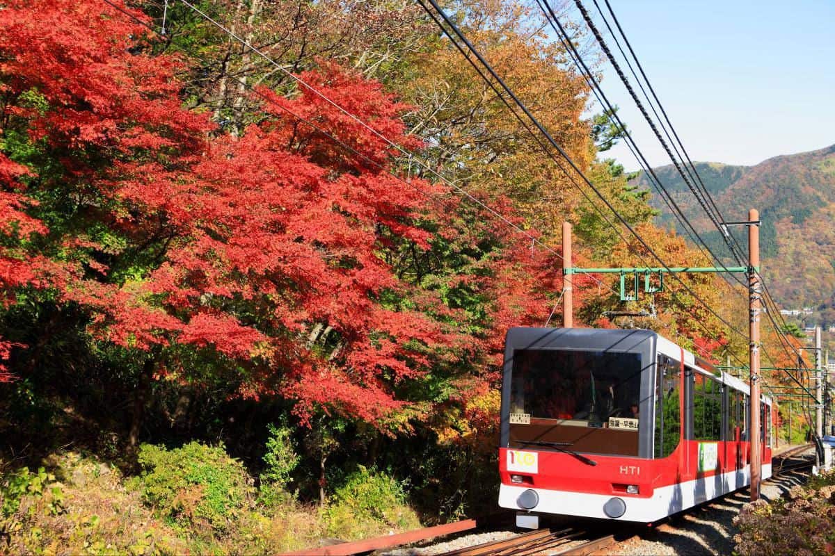 Kereta Hakone Tozan, 1. Arashiyama, Kyoto, 2. Taman Rikugien, Tokyo, 3. Taman Nasional Daisetsuzan, Hokkaido, 4. Danau Kawaguchi, Prefektur Yamanashi, 5. Kereta Hakone Tozan, 6. Kasuga Taisha