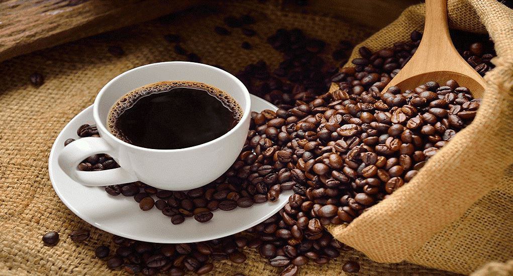 Kopi Kintamani, 1. Kopi Kintamani, 2. Pia Legong, 3. Salak Bali, 4. Pie Susu, 5. Kacang Disco, 6. Kacang Asin, 7. Nasi Jinggo, 8. Kerupuk Kulit Babi, 9. Kerupuk Ceker, 10. Bagiak Bali