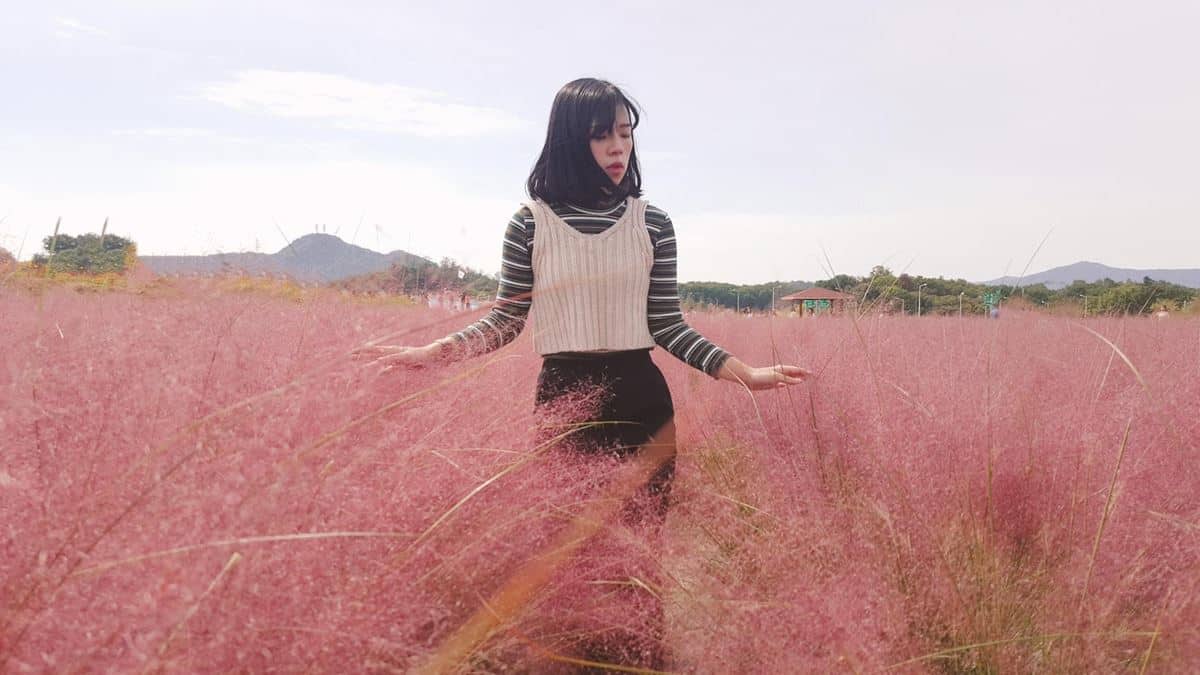 Pink Muhly Field, 1. Jalan Pohon Ginkgo di Kota Asan, 2. Ladang Borinara Hagwon, di Gochang, 3. Pulau Nami, 4. Jirisan di Kota Sancheong, 5. Pink Muhly Field di Gyeongju, 7. Gwanghalluwon di Namwon, 7. Universitas Ewha