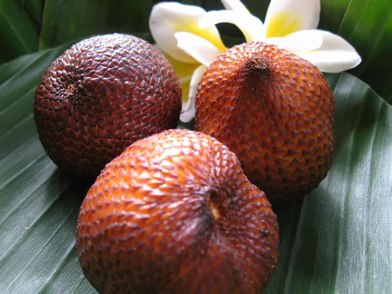 Salak Bali, 1. Kopi Kintamani, 2. Pia Legong, 3. Salak Bali, 4. Pie Susu, 5. Kacang Disco, 6. Kacang Asin, 7. Nasi Jinggo, 8. Kerupuk Kulit Babi, 9. Kerupuk Ceker, 10. Bagiak Bali