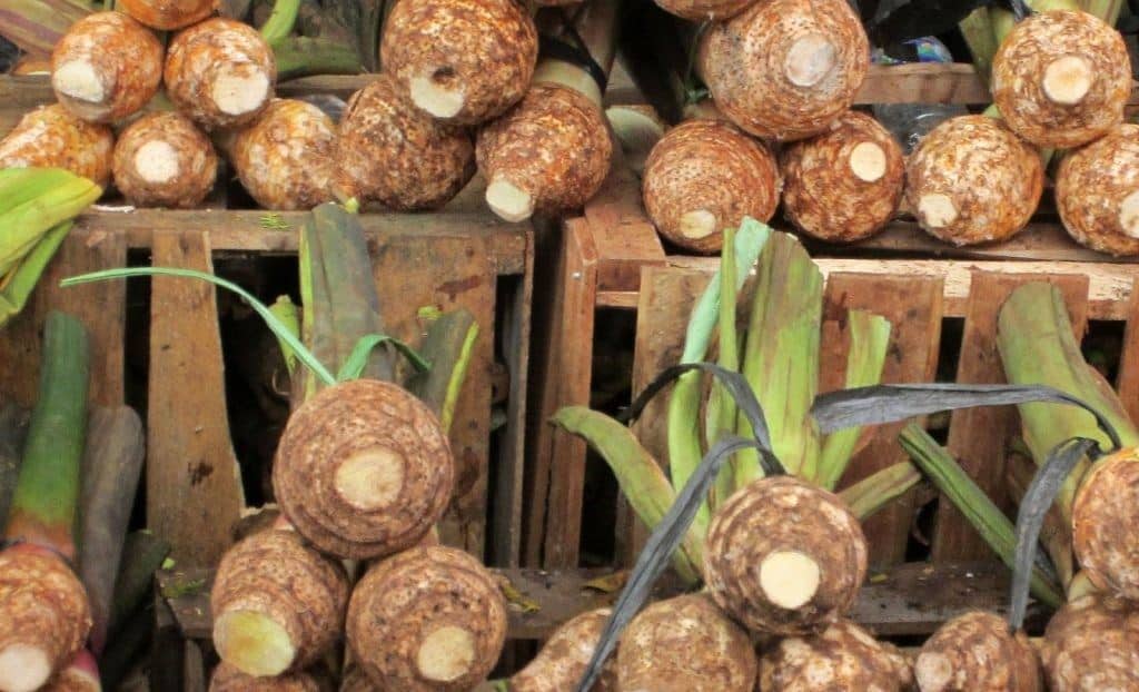 Talas Bogor, 1. Talas Bogor, 2. Asinan Khas Bogor, 3. Papapia, 4. Bika Bogor, 5. Roti Unyil, 6. Strudel Bogor, 7. Lapis Talas, 8. Keripik Talas, 9. Pie Talas, 10. Makaroni Panggang