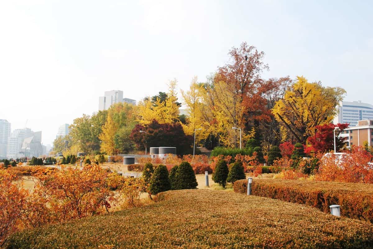 Universitas Ewha, 1. Jalan Pohon Ginkgo di Kota Asan, 2. Ladang Borinara Hagwon, di Gochang, 3. Pulau Nami, 4. Jirisan di Kota Sancheong, 5. Pink Muhly Field di Gyeongju, 7. Gwanghalluwon di Namwon, 7. Universitas Ewha
