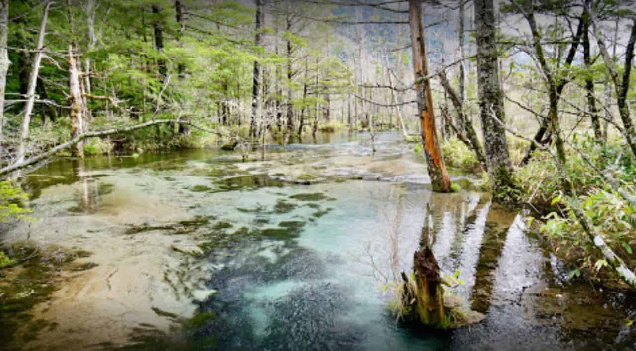 kamikochi tempat wisata musim panas di jepang, 1. Kamikochi, 2. Pulau Ishigaki Okinawa, 3. Uradome Coast, 4. Nagaoka Fireworks Festival, 5. Gunung Fuji, 6. Kuil Motonosumi Inari, 7. Aomori Nebuta Festival