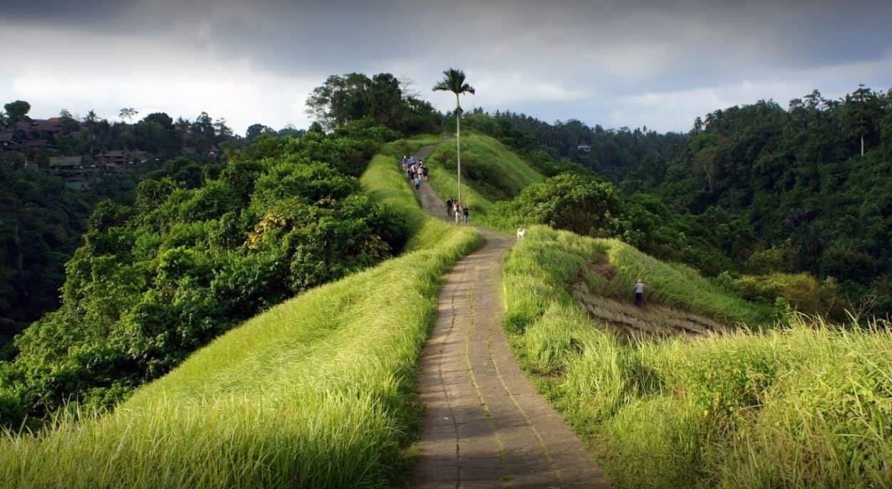 tempat wisata di gianyar campuhan ridge, 1. Goa Gajah, 2. The Blanco Renaissance Museum, 3. Campuhan Ridge Walk, 4. Pura Tirta Empul, 5. Tegenungan Waterfall, 6. Tegallalang Rice Terrace, 7. Mandala Wisata Wenara Wana, 8. Hidden Canyon Beji Guwang, 9. Bali Safari & Marine Park, 10. Pantai Lebih
