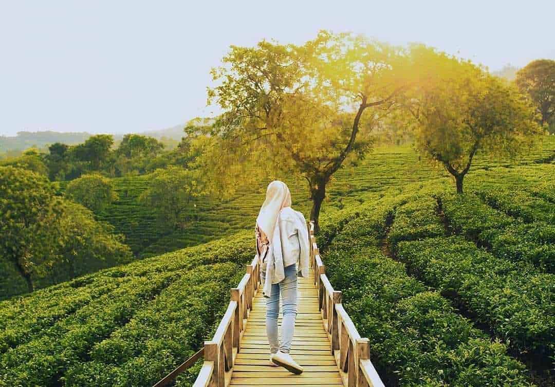 Kebun Teh Wonosari, 1. Mata Air Sumber Sirah, 2. Candi Singosari, 3. Pantai Ngliyep, 4. Hawai Waterpark, 5. Brawijaya Edupark, 6. Banyu Anjlok, 7. Alun-alun Kota Malang, 8. Kebun Teh Wonosari, 9. Pantai Tiga Warna, 10. Pantai Goa Cina