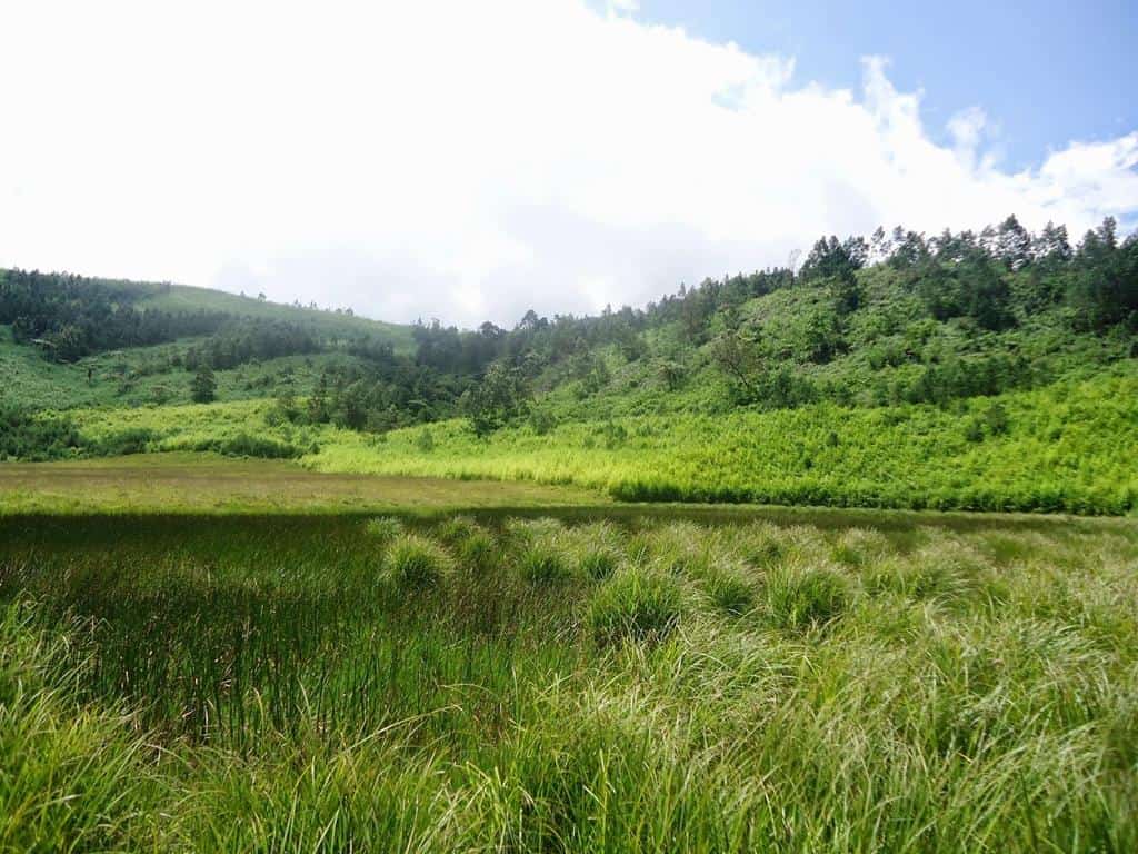 Padang Savana Dieng, 1. Bukit Sikunir, 2. Lembah Seroja, 3. Telaga Menjer, 4. Bukit Sidengkeng, 5. Padang Savana Dieng, 6. Telaga Warna, 7. Batu Ratapan Angin, 8. Candi Dieng, 9. Kawah Sikidang, 10. Gunung Prau