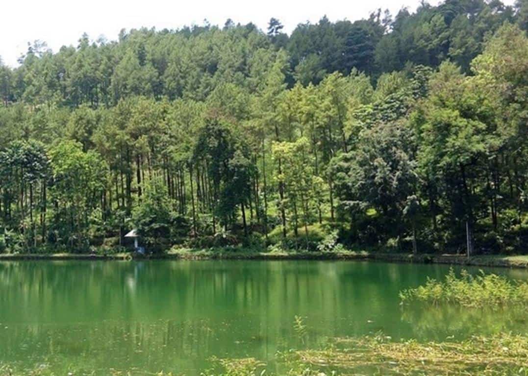 Telaga Rengganis, 1. Kedung Mbulet, 2. Rainbow Rafting Randudongkal, 3. Pantai Widuri, 4. Curug Duwur Pemalang, 5. Telaga Rengganis, 6. Kebun Teh Semugih, 7. Gunung Mendelem, 9. Curug Gong Randudongkal, 10. Bukit Kukusan