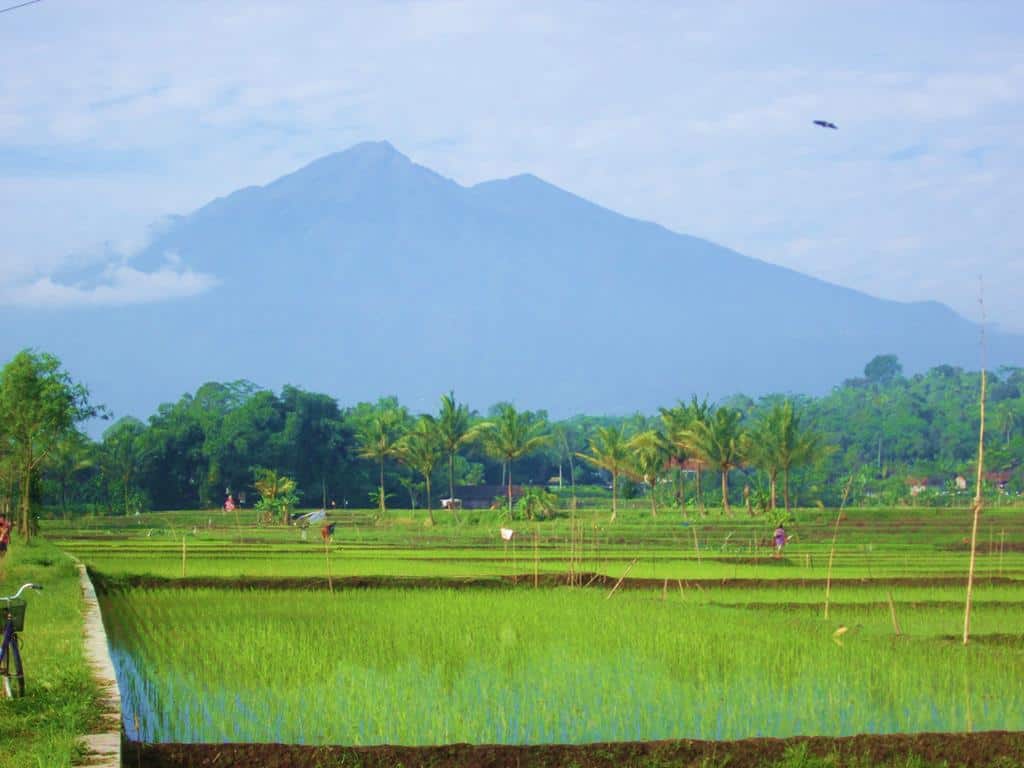 d (Copy), 1. Air Terjun Umbul Songo , 2. Wisata Tlogo Plantation, 3. Bukit Cinta, 4. Desa Wisata Tingkir Lor, 5. Agrowisata Gunung Sari Kopeng, 6. Sumber Mata Air Senjoyo, 7. Taman Kota Salatiga, 8. Gunung Merbabu