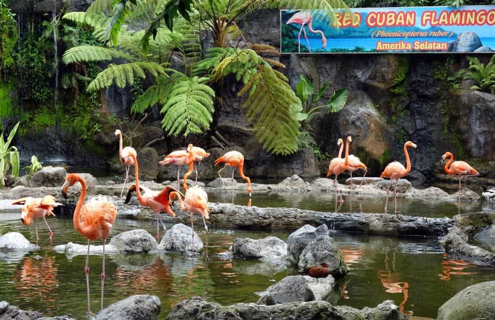 Batu Secret Zoo, 1. Jawa Timur Park 1, 2. Dino Park (Jawa Timur Park 3), 3. Taman Rekreasi Selecta, 4. Coban Rais, 5. Alun-alun Kota Batu, 6. Batu Secret Zoo, 7. Kusuma Agrowisata, 8. Museum Angkut, 9. Batu Night Spectacular, 10. Taman Langit Gunung Banyak
